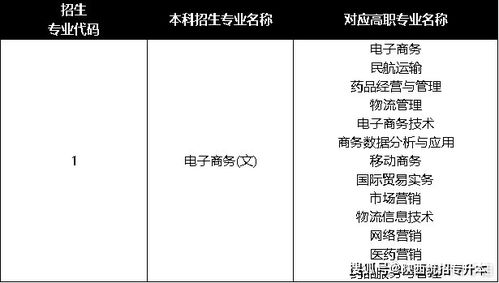 电子商务专业可以报考什么编制