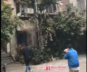 老人住3600万豪宅拾荒，邻居被逼卖房——一则社会现象的深度解析