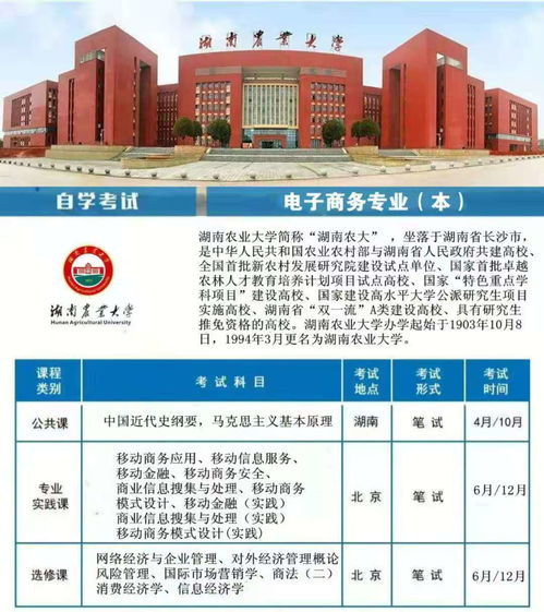 电子商务本科是什么专业